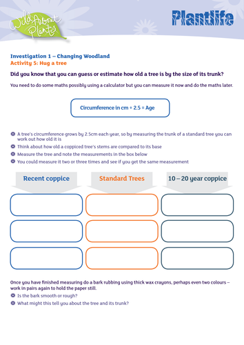 Investigation - Hug a Tree