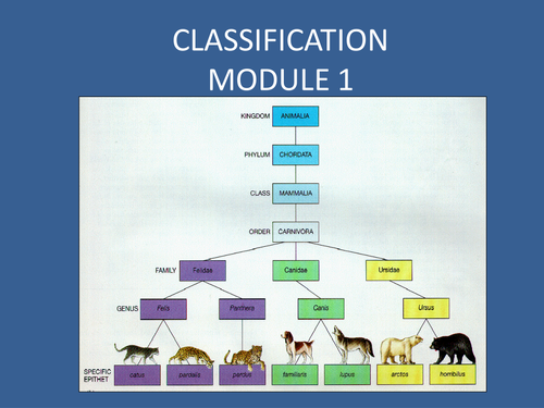 EDEXCEL P1  Classification