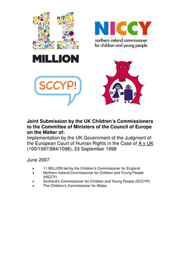 11 Million - Joint Submission Council of Europe