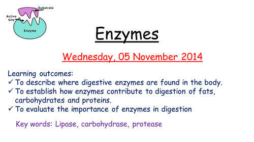 Enzymes lesson