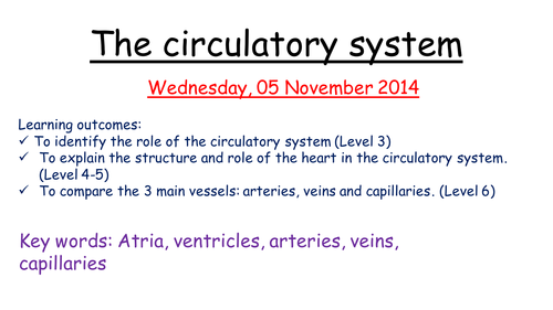 Circulatory system | Teaching Resources