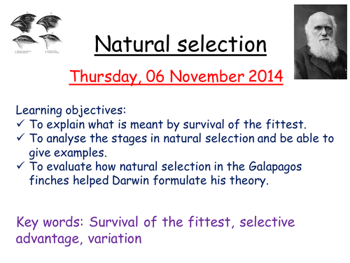 Natural selection practical