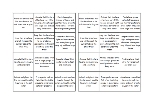 Adaptation lesson for foundation students