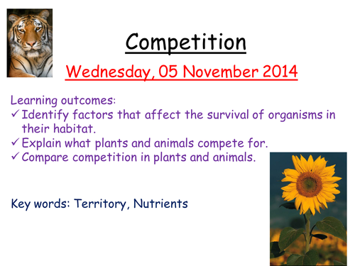 Competition in plants and animals: foundation | Teaching Resources