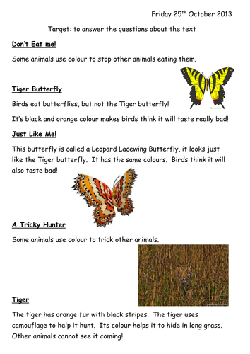 Non Fiction Comprehension