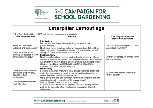 Caterpillar Camouflage