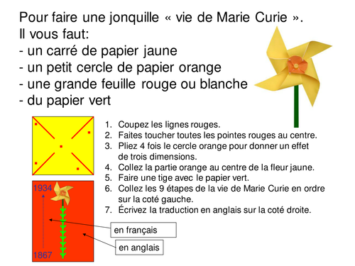 French Timeline daffodil of Marie Curie's life