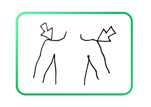 Flashcards face and body