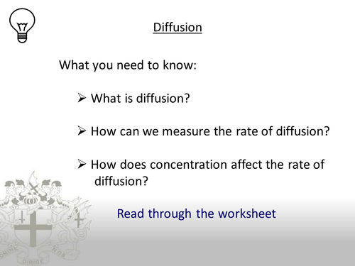 Diffusion Practical