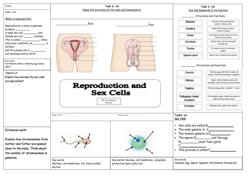 Contraception starter activity by - UK Teaching Resources - TES