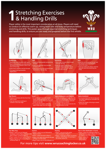 Stretching Exercises & Handling Drills Poster