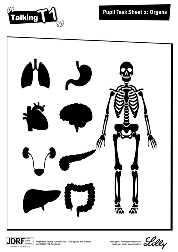 Type 1 Diabetes Primary Science Resources
