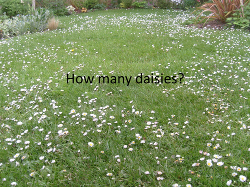 Sampling techniques  Edexcel B2.23