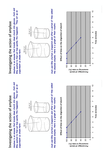 Investigation of Enzymes Data Handling worksheets