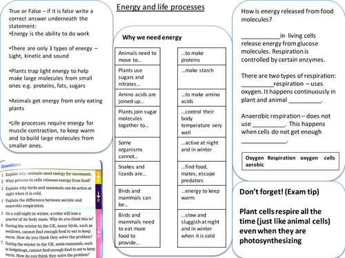 AQA energy and life processes for lower ability