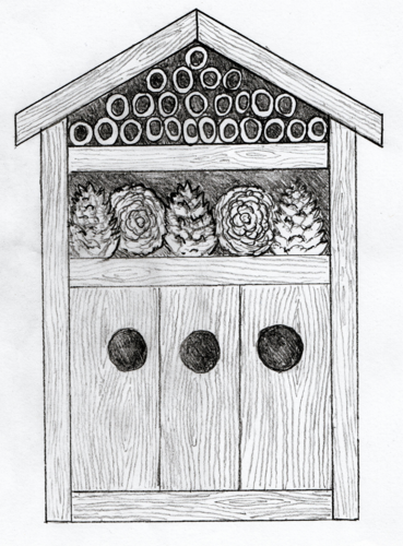 Hand Drawn Bug House