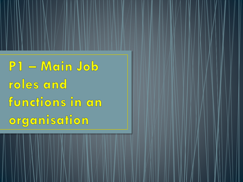 Job Roles & Functions in Business