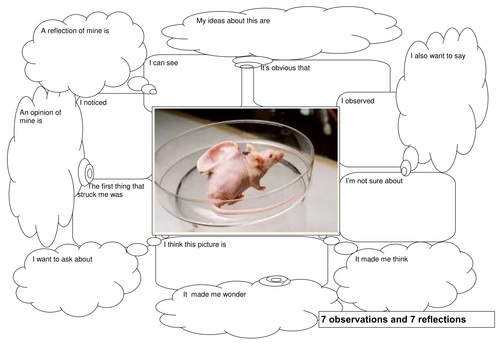 worksheets pre animal k Genetic samueljames87 & by  Cloning Teaching  Engineering