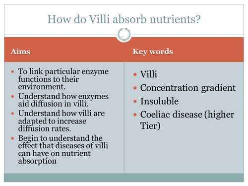 How villi are adapted