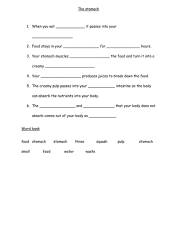 The stomach | Teaching Resources