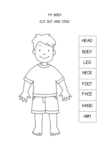 PARTS OF THE BODY | Teaching Resources