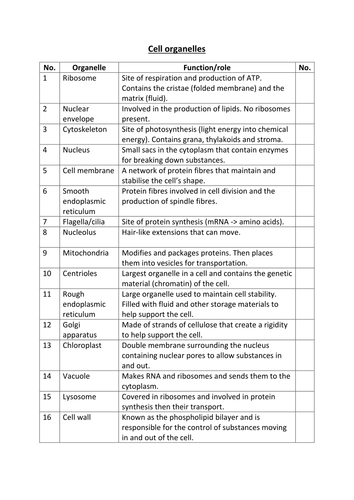 Matching organelles and their functions