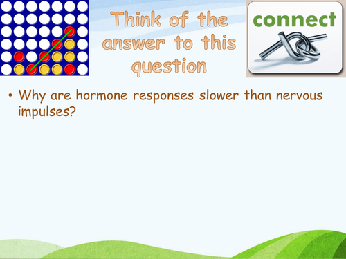 Menstrual Cycle Timeline Activity