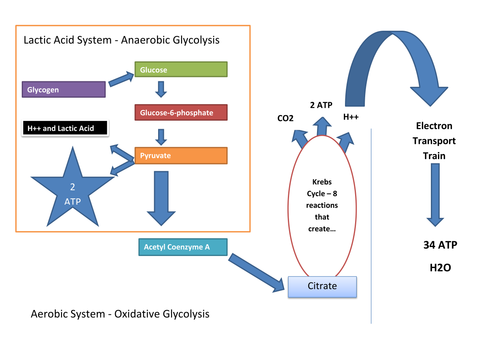 Energy Systems | Teaching Resources