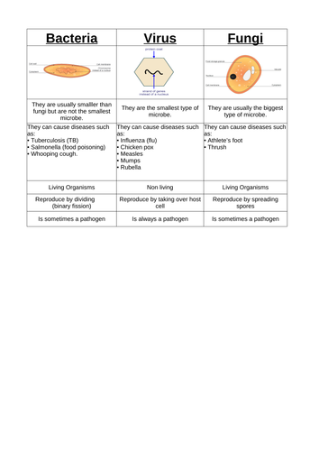 AQA B1 Defending against infection