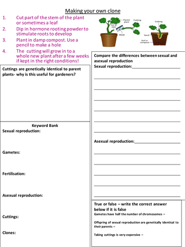 AQA sexual & asexual worksheet with cuttings