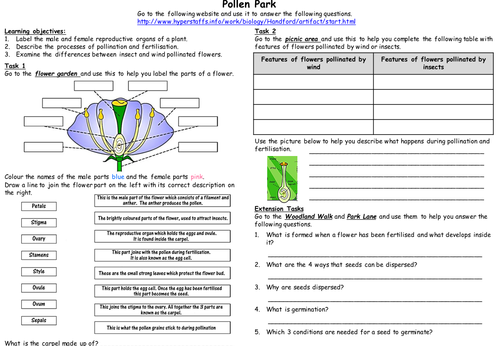 Web activity: Reproduction in flowering plants