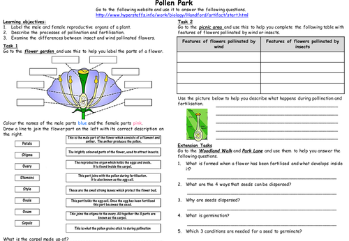 for free plant worksheets kindergarten in activity: Reproduction by flowering Web plants