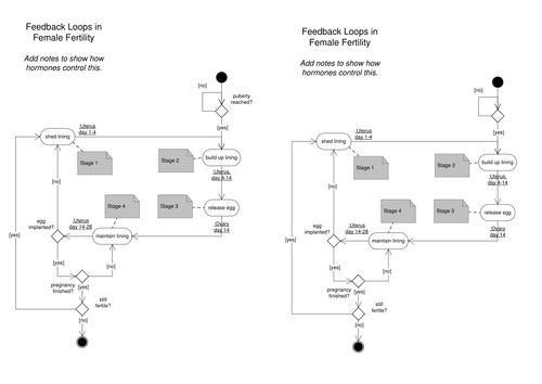 Female Fertility/Menstruation Flowchart