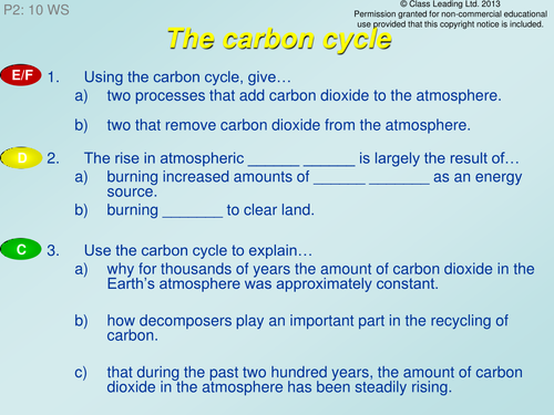 The carbon cycle - grade questions