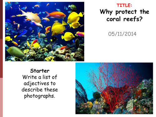 Tourism and the coral reef