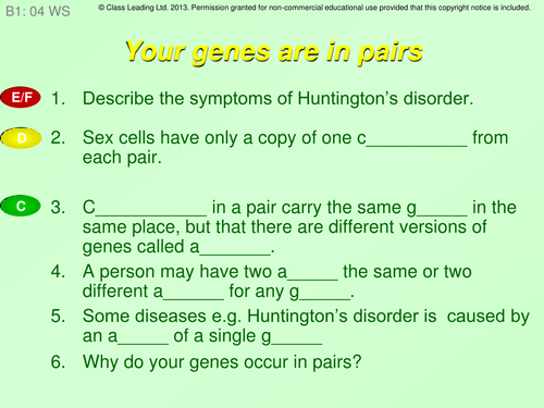 Your genes are in pairs