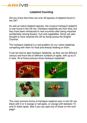 Ladybird Counting Sheet