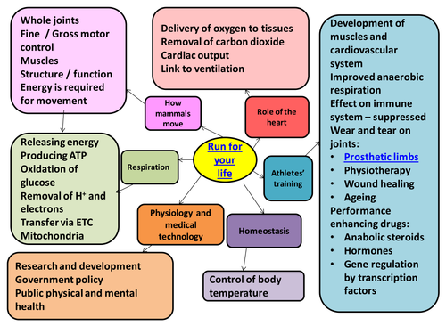 SNAB Run for your life Introductory mind map