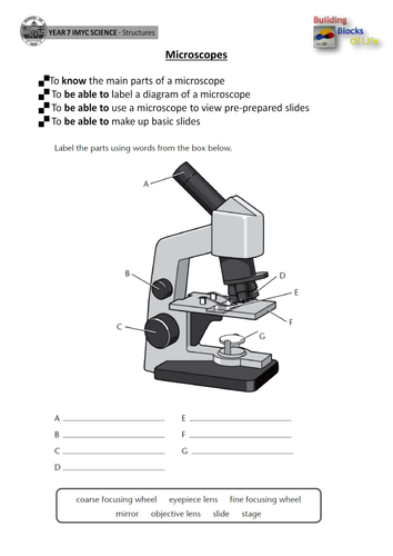 Labeling Microscope Worksheet | Teaching Resources