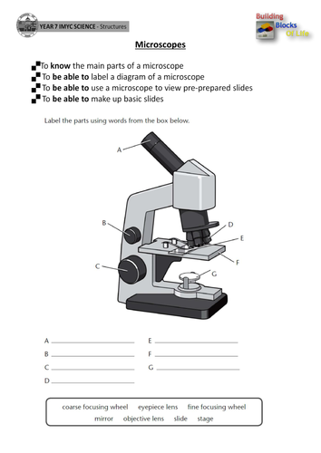 Labeling Microscope Worksheet Teaching Resources