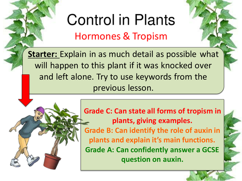 Control in Plants (Tropism)