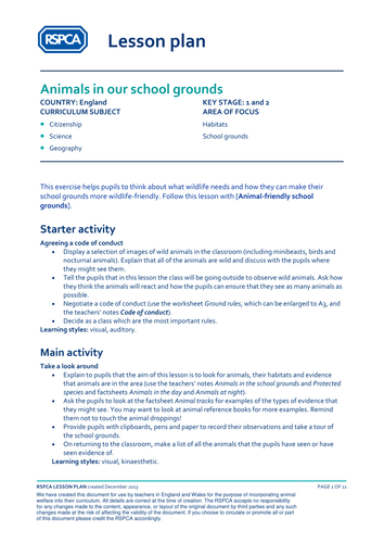 School Grounds 1: Animals in our school grounds