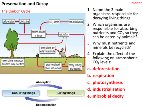 Food Preservation and Decoposition