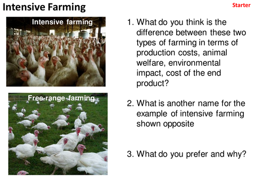 Intensive vs Organic Farming