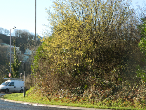 Evidence for Global warming?