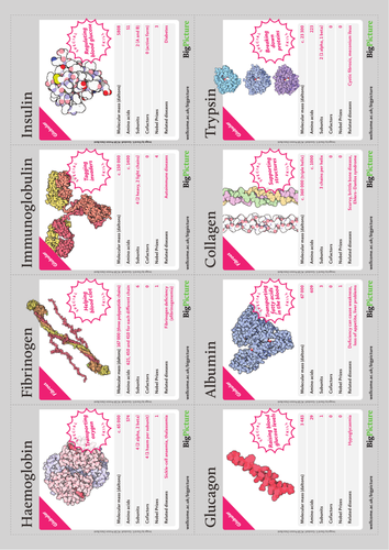 Big Picture: Proteins Protrump cards | Teaching Resources
