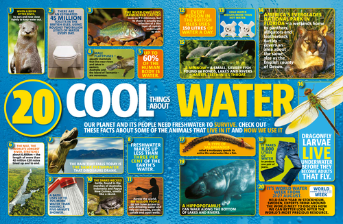 20 Cool Things About Water