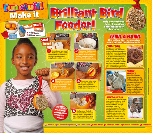 Making a Brilliant Bird Feeder Activity