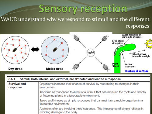 AQA Response to stimuli introduction