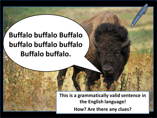 buffalo-teaching-resources